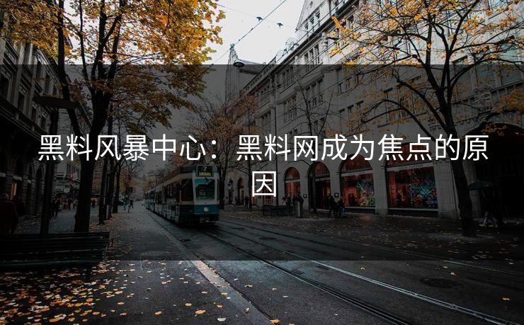 黑料风暴中心：黑料网成为焦点的原因