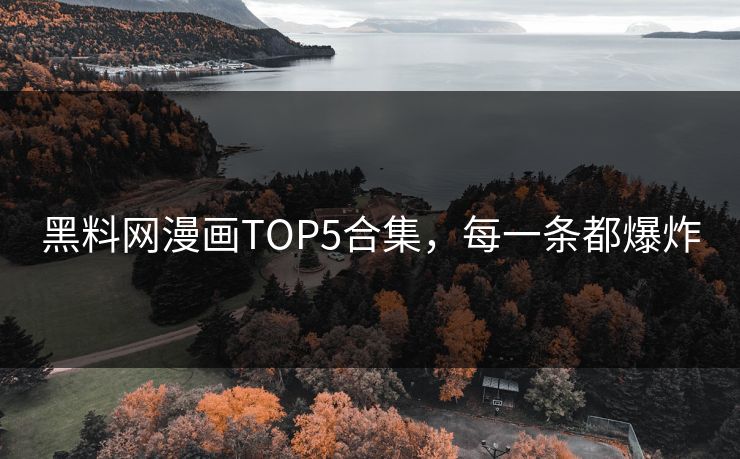 黑料网漫画TOP5合集，每一条都爆炸