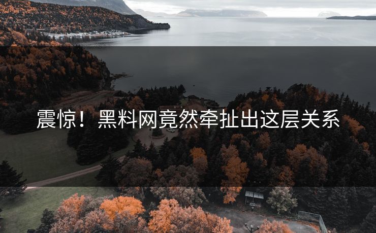 震惊！黑料网竟然牵扯出这层关系