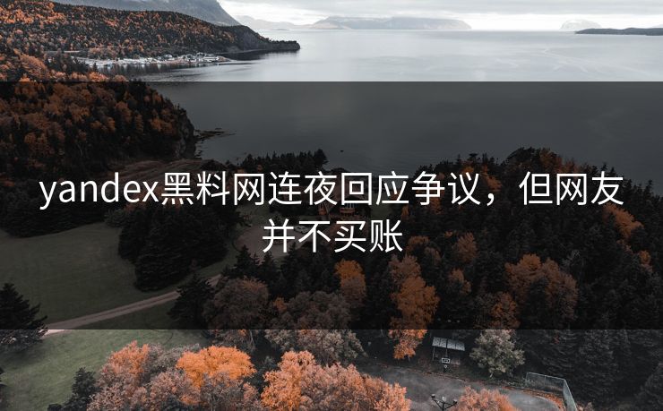yandex黑料网连夜回应争议，但网友并不买账