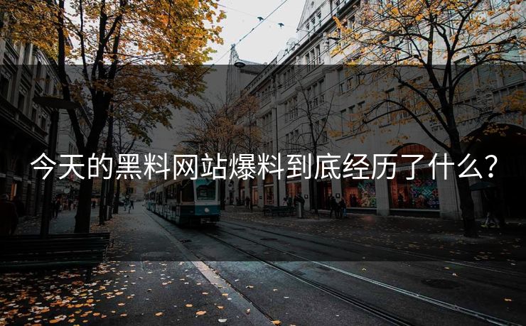 今天的黑料网站爆料到底经历了什么？