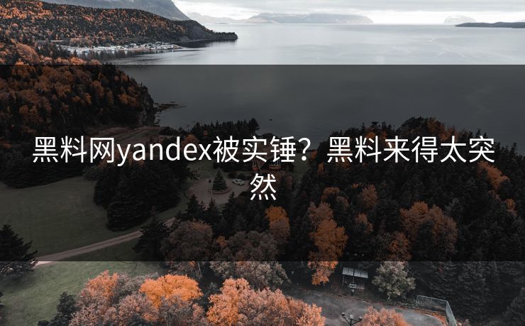黑料网yandex被实锤？黑料来得太突然