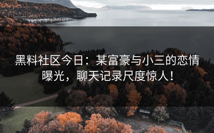 黑料社区今日：某富豪与小三的恋情曝光，聊天记录尺度惊人！