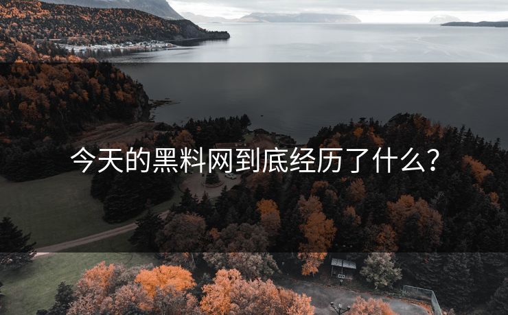 今天的黑料网到底经历了什么？