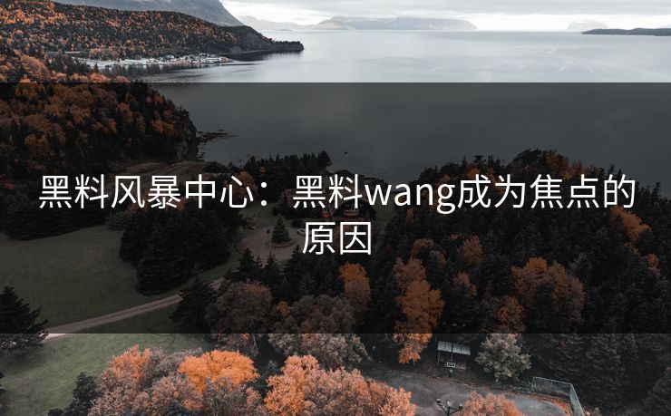 黑料风暴中心：黑料wang成为焦点的原因