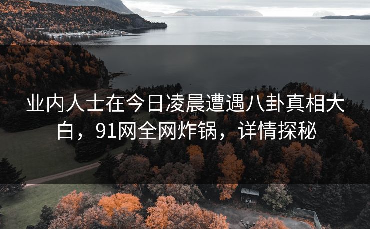 业内人士在今日凌晨遭遇八卦真相大白，91网全网炸锅，详情探秘