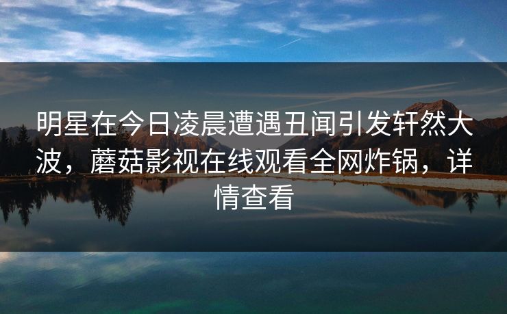 明星在今日凌晨遭遇丑闻引发轩然大波，蘑菇影视在线观看全网炸锅，详情查看