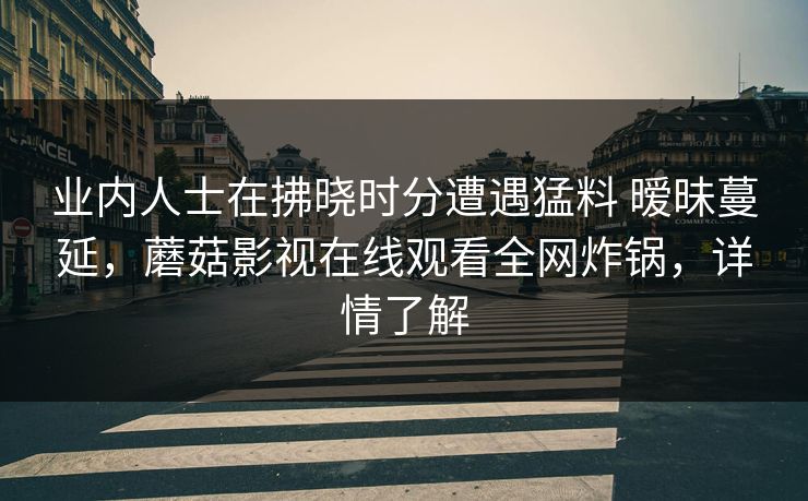 业内人士在拂晓时分遭遇猛料 暧昧蔓延,蘑菇影视在线观看全网炸锅,详情了解 业内人士在拂晓时分遭遇猛料 暧昧蔓延,蘑菇影视在线观看全网炸锅,详情了解